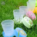 IMG-20240808-WA0005.webp