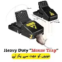 Plastic Mouse Trap/Catcher